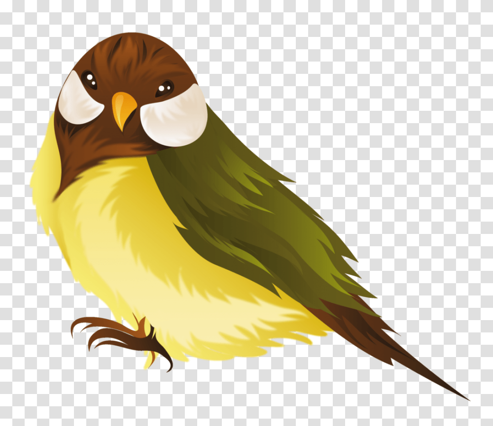 Cuckoo Bird Clipart Winging, Animal, Finch, Beak, Jay Transparent Png