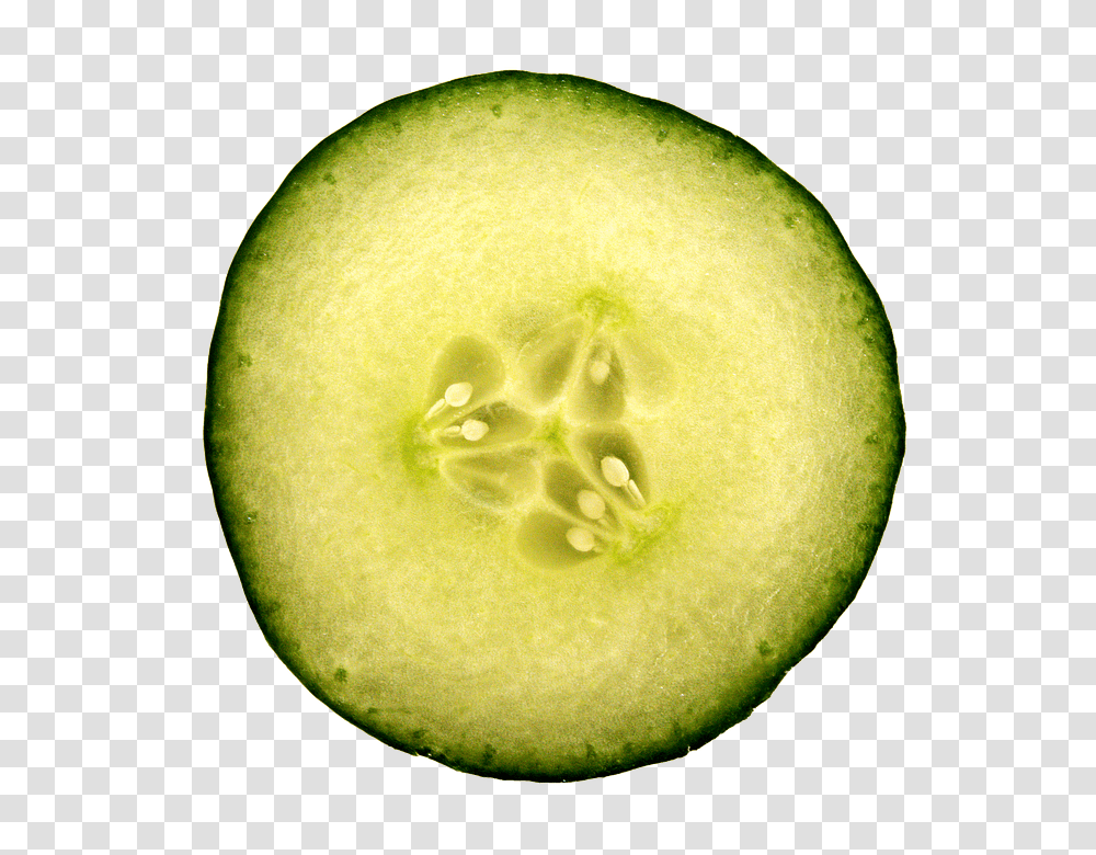 Cucumber 960, Vegetable, Plant, Food, Tennis Ball Transparent Png