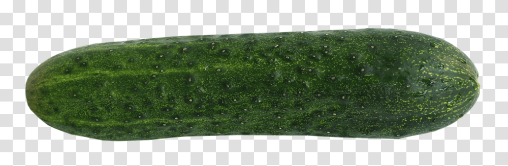 Cucumber 960, Vegetable, Plant, Algae, Grass Transparent Png