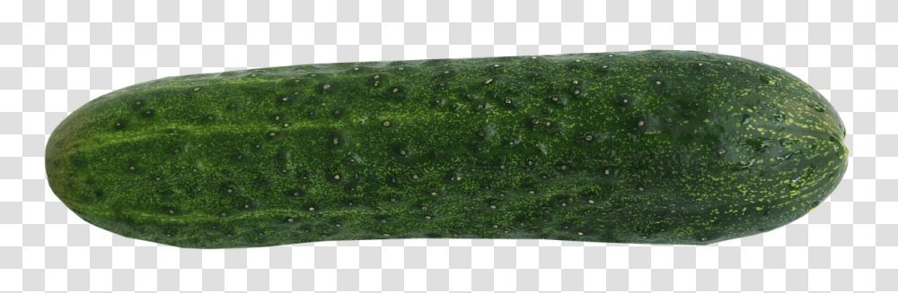 Cucumber Food, Plant, Vegetable, Produce Transparent Png