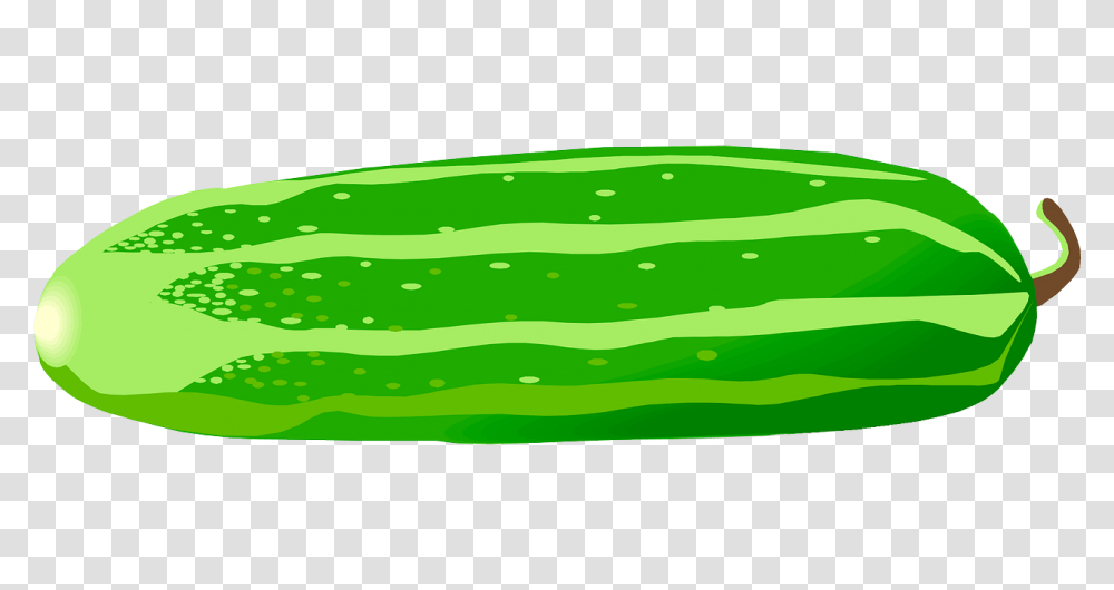 Cucumber Clip Art, Plant, Vegetable, Food, Pickle Transparent Png