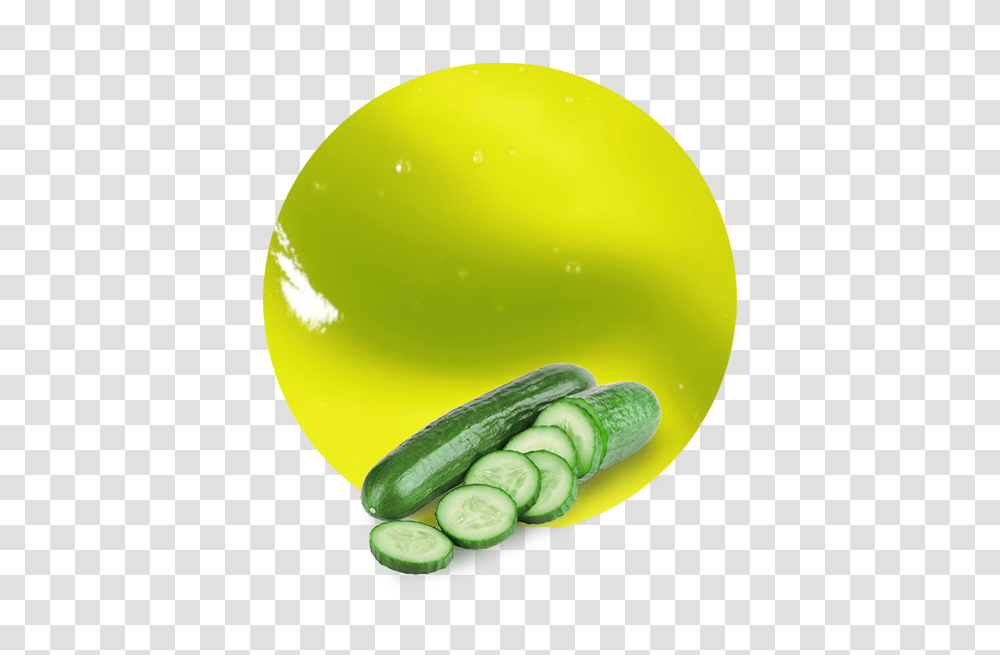 Cucumber Concentrate, Plant, Vegetable, Food Transparent Png