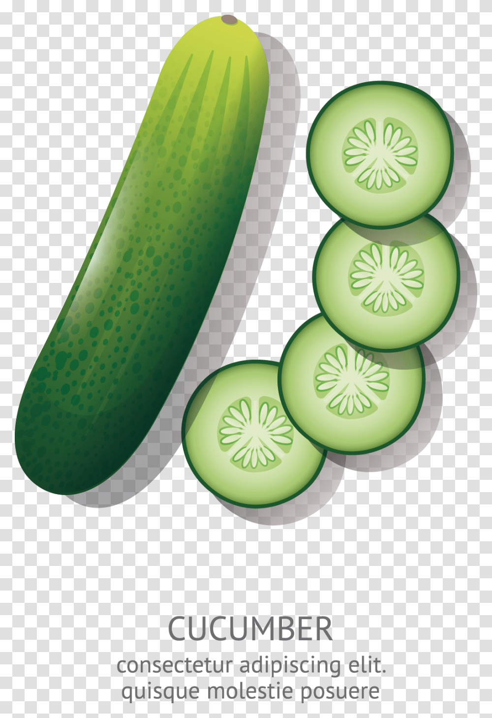 Cucumber Cucumber Cartoon Drawing, Vegetable, Plant, Food, Sliced Transparent Png