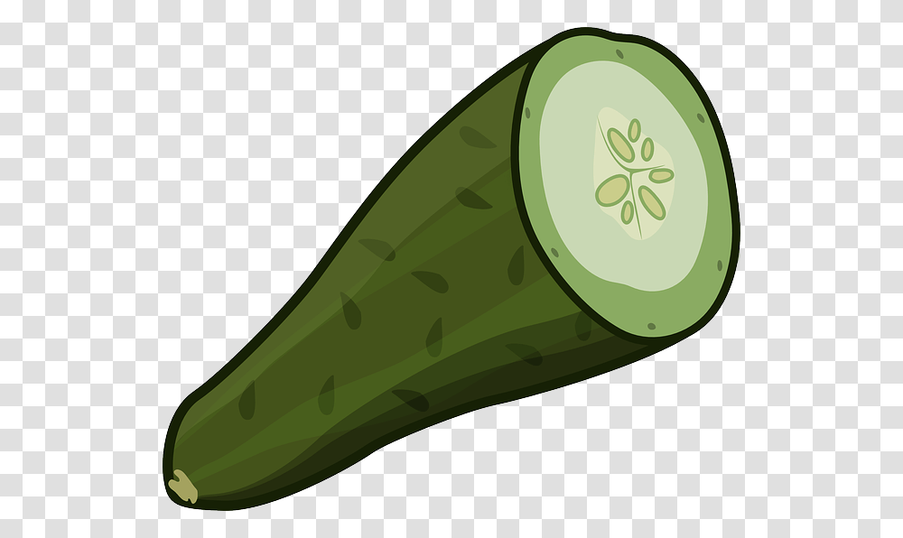 Cucumber Cut Green Vegetable Nutrition Fresh Cut Cucumber Clipart, Plant, Food, Fruit, Baseball Bat Transparent Png