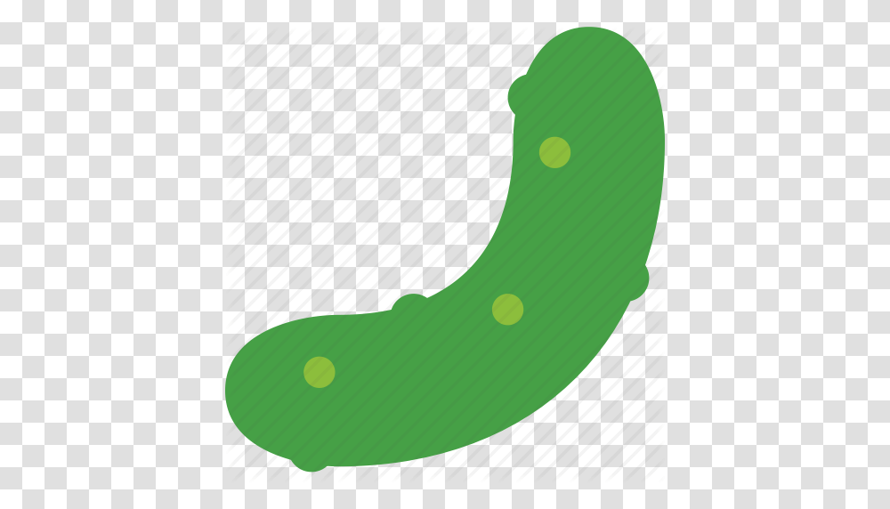 Cucumber Dill Food Pickle Sandwich Icon, Plant, Vegetable, Relish, Invertebrate Transparent Png