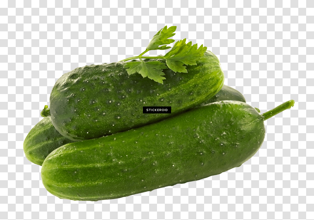 Cucumber Download Transparent Png