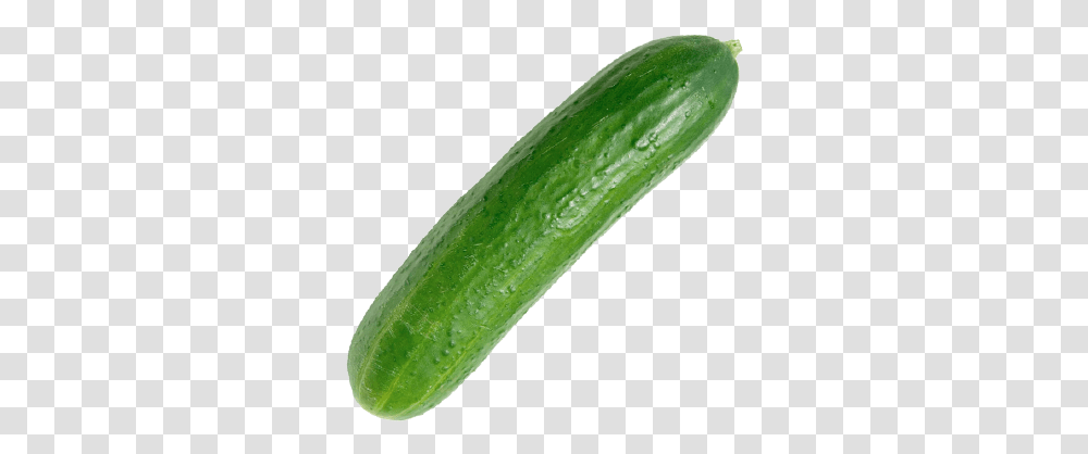 Cucumber English Zucchini, Vegetable, Plant, Food Transparent Png
