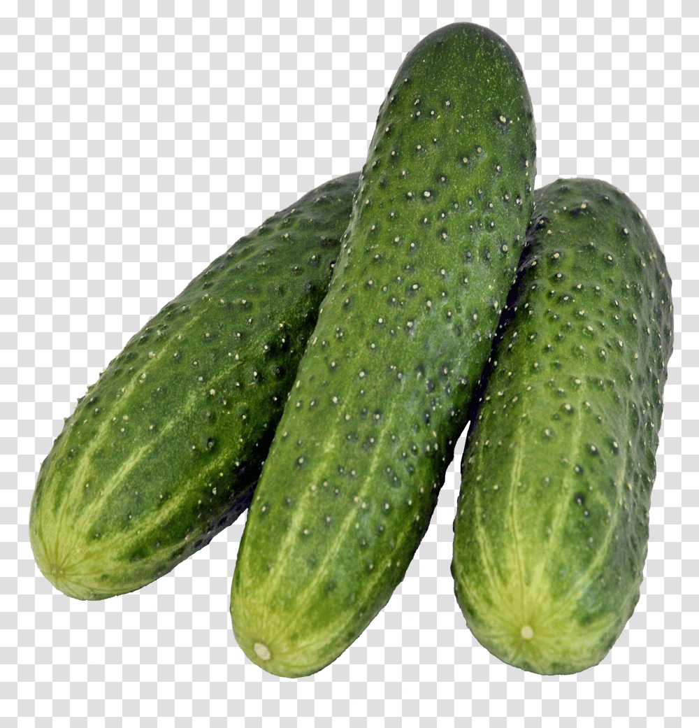 Cucumber Gherkins Transparent Png