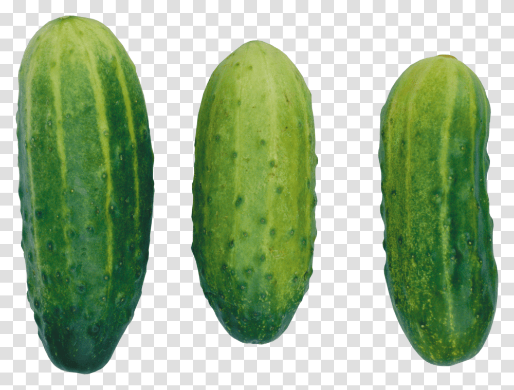 Cucumber Image Cucumber, Pear, Fruit, Plant, Food Transparent Png