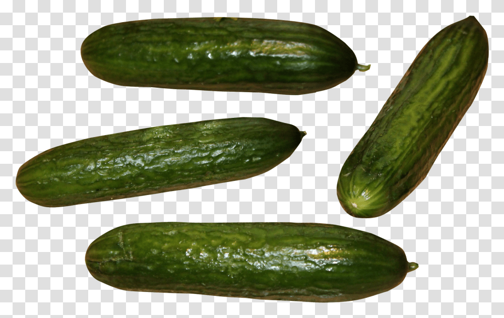 Cucumber Image Cucumber, Plant, Vegetable, Food, Spoon Transparent Png
