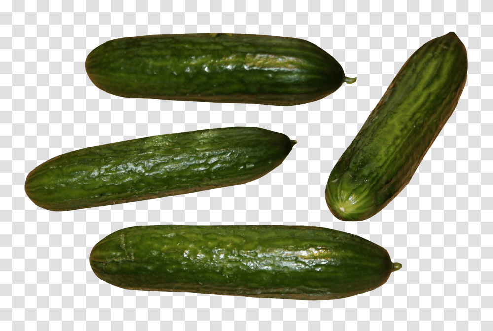 Cucumber Image, Fruit, Plant, Vegetable, Food Transparent Png