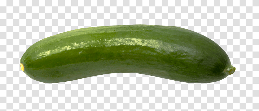 Cucumber Image, Fruit, Plant, Vegetable, Food Transparent Png