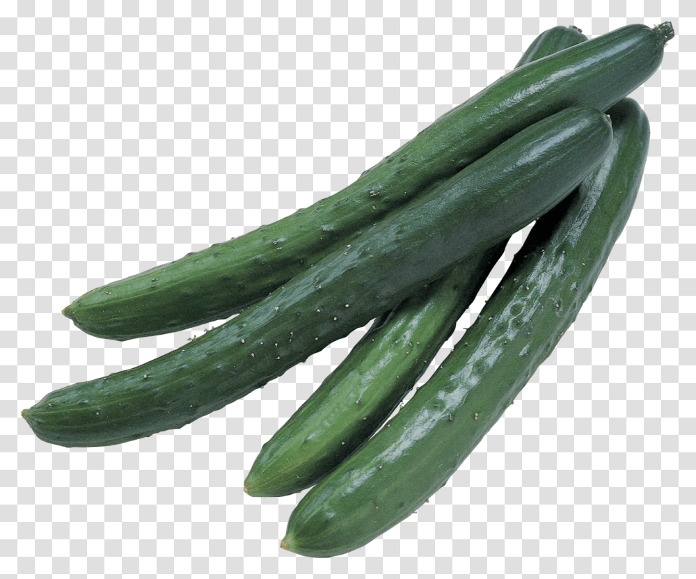 Cucumber Image, Plant, Vegetable, Food, Produce Transparent Png