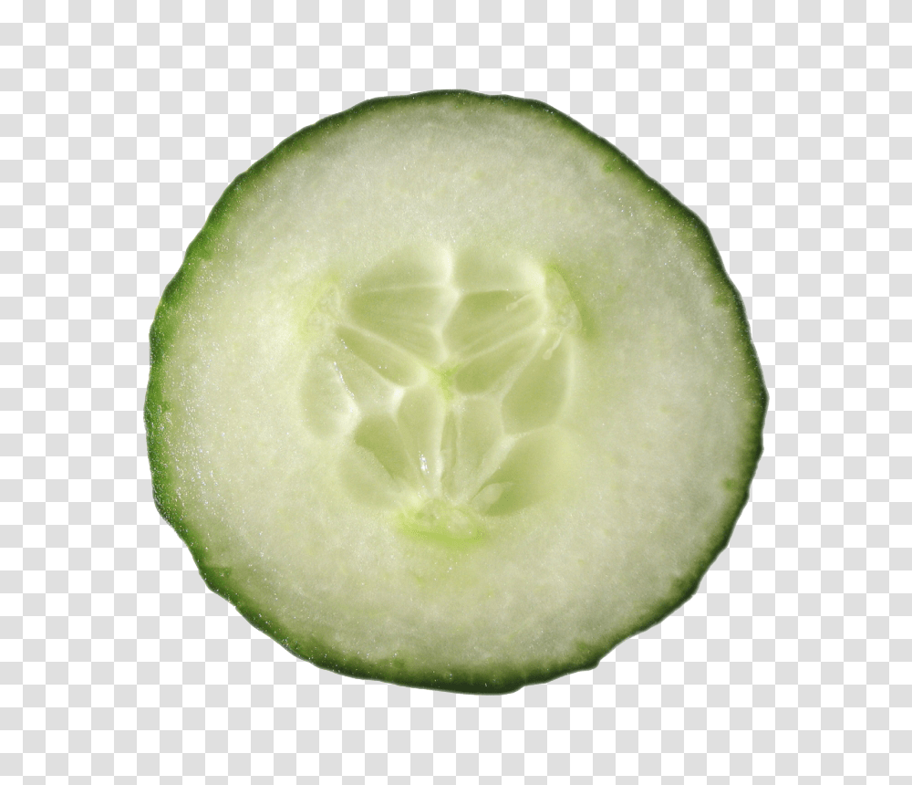 Cucumber Images Free Download, Plant, Vegetable, Food, Sliced Transparent Png