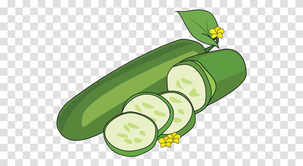 Cucumber Images In Cartoon, Plant, Green, Vegetable, Food Transparent Png