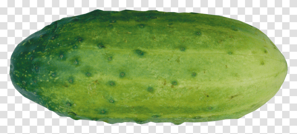 Cucumber Papaya, Plant, Food, Fruit, Vegetable Transparent Png