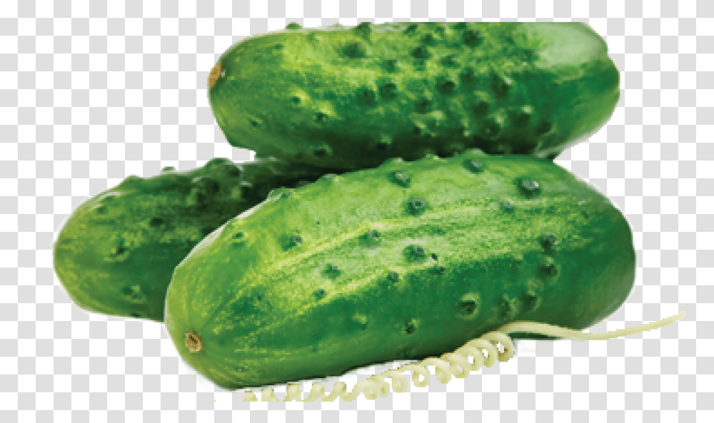 Cucumber Pick It Try Like Preserve, Vegetable, Plant, Food, Fish Transparent Png