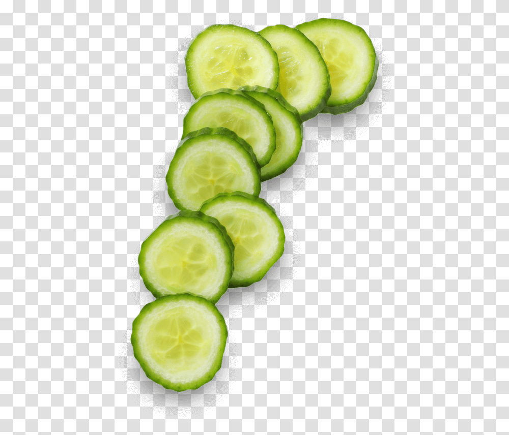 Cucumber, Plant, Food, Sliced, Vegetable Transparent Png