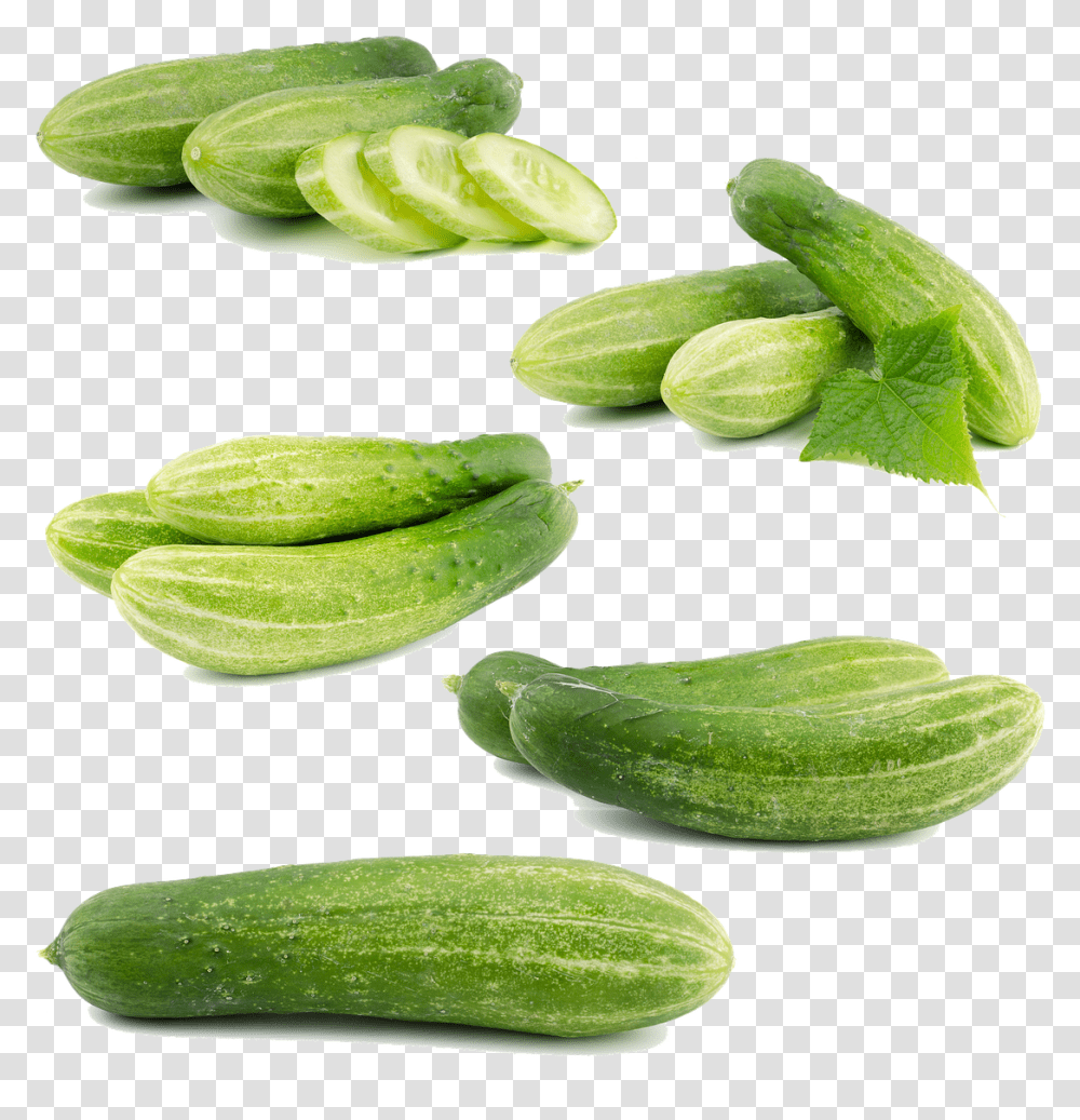Cucumber, Plant, Food, Vegetable, Produce Transparent Png