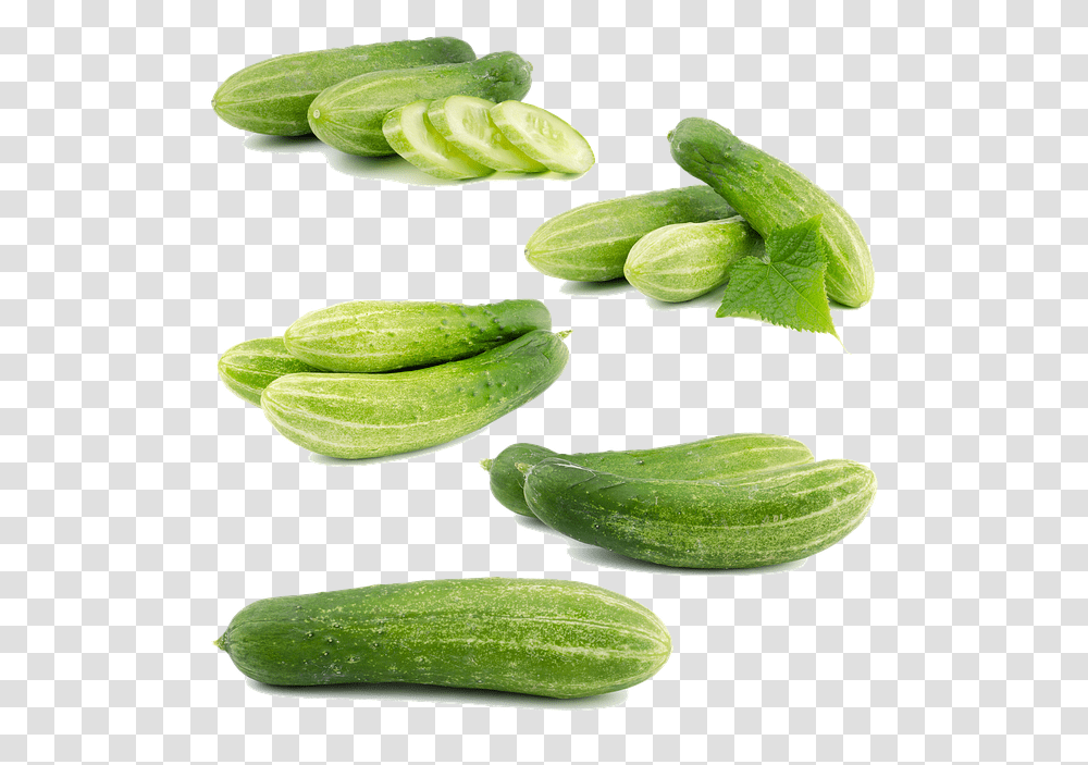 Cucumber, Plant, Green, Food, Vegetable Transparent Png