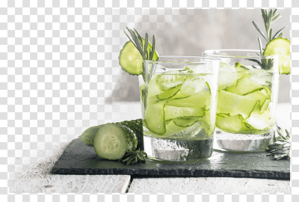 Cucumber, Plant, Lime, Citrus Fruit, Food Transparent Png