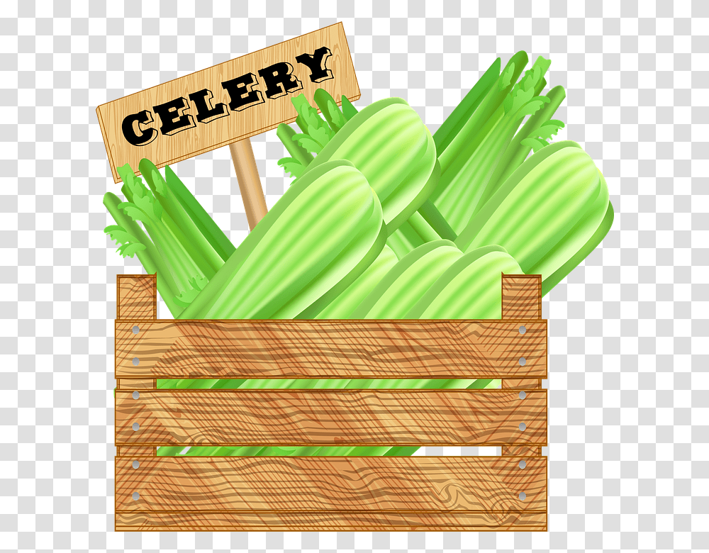 Cucumber, Plant, Produce, Food, Vegetable Transparent Png
