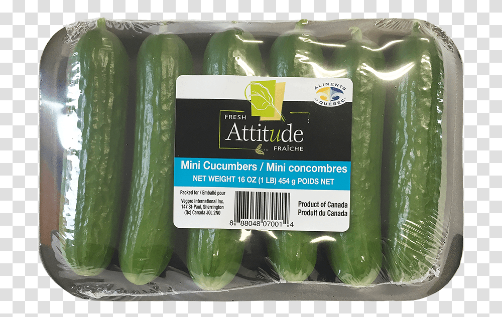 Cucumber, Plant, Vegetable, Food, Pickle Transparent Png