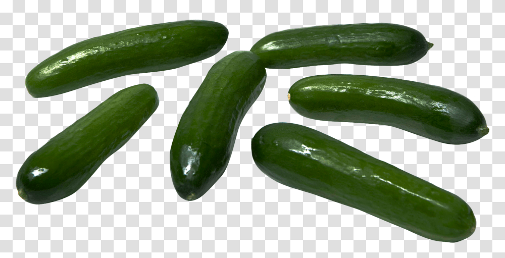 Cucumber, Plant, Vegetable, Food, Produce Transparent Png