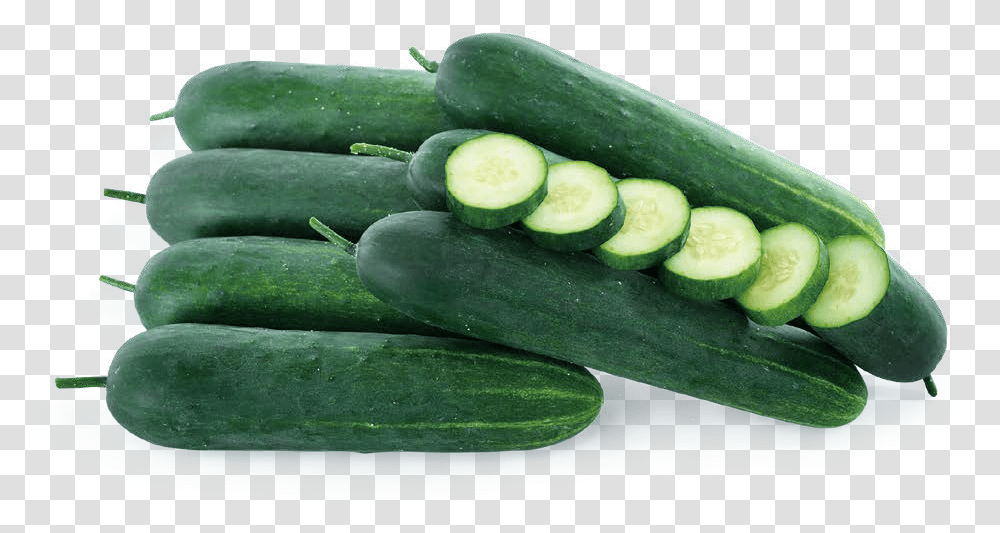 Cucumber, Plant, Vegetable, Food, Produce Transparent Png
