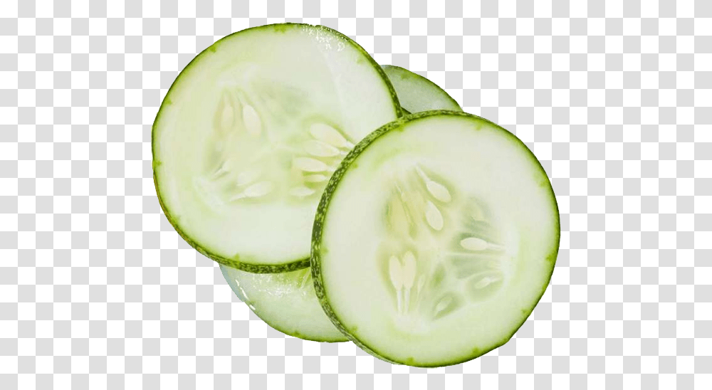 Cucumber, Plant, Vegetable, Food Transparent Png
