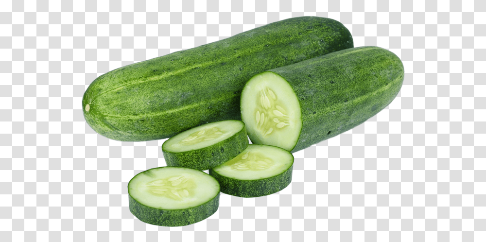 Cucumber, Plant, Vegetable, Food Transparent Png
