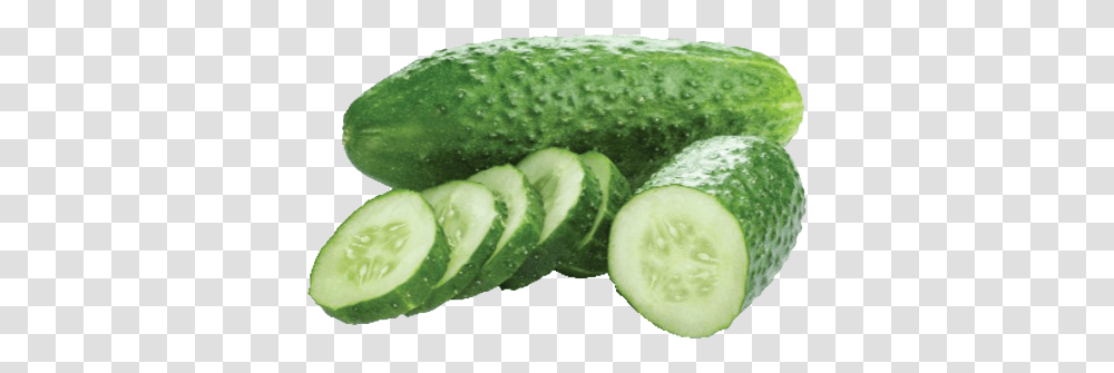 Cucumber Salad Image Kornion Salatalk, Tennis Ball, Sport, Sports, Vegetable Transparent Png