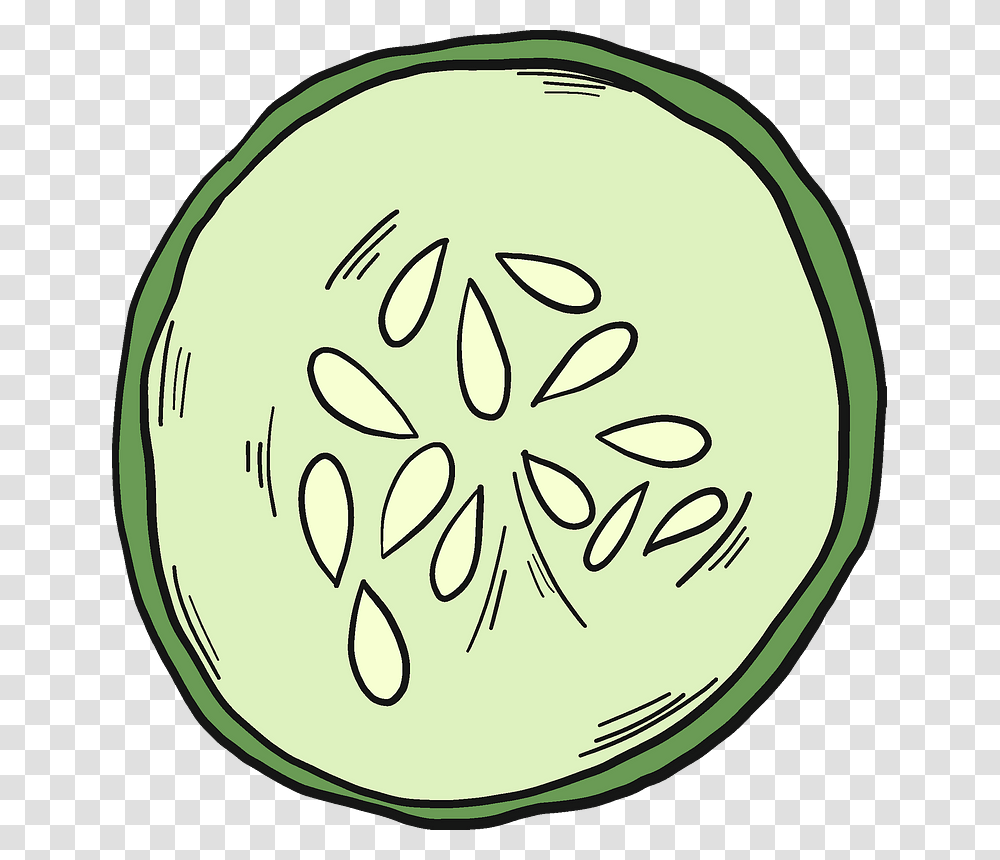 Cucumber Slice Clipart Circle, Plant, Food, Vegetable, Tennis Ball Transparent Png