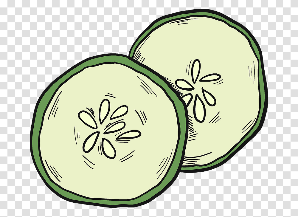 Cucumber Slices Clipart, Plant, Fruit, Food, Melon Transparent Png