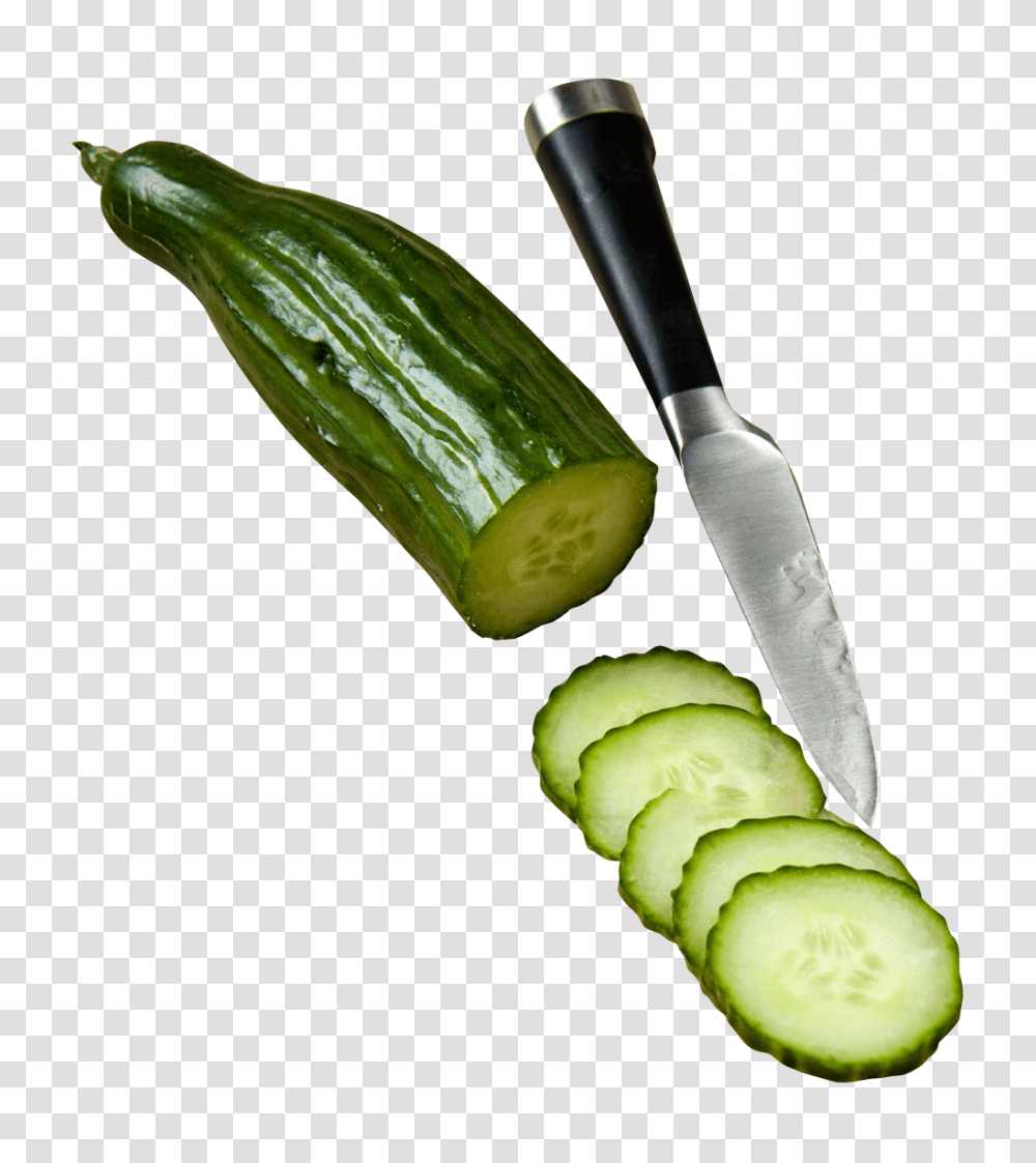 Cucumber Slices Image, Fruit, Plant, Vegetable, Food Transparent Png