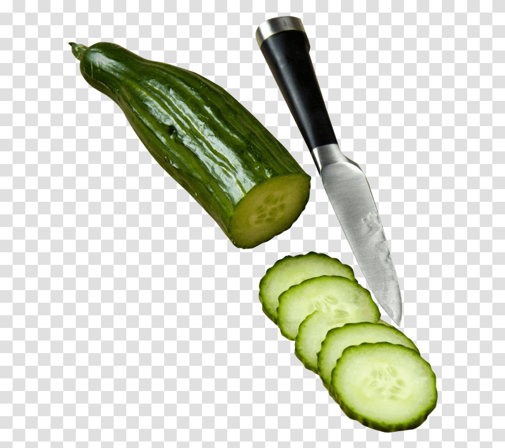 Cucumber Slices, Plant, Vegetable, Food, Produce Transparent Png