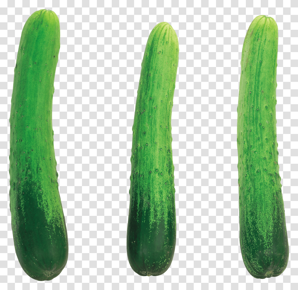 Cucumber Transparent Png