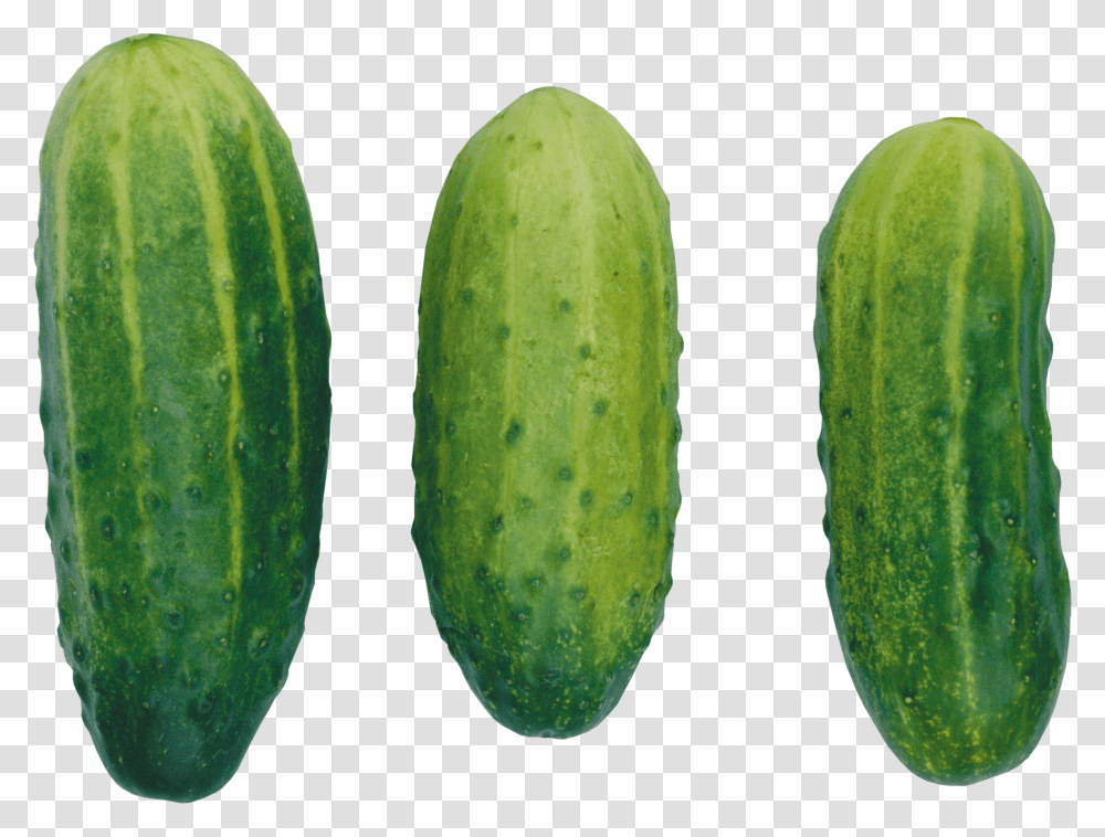 Cucumber, Vegetable, Plant, Food, Pear Transparent Png