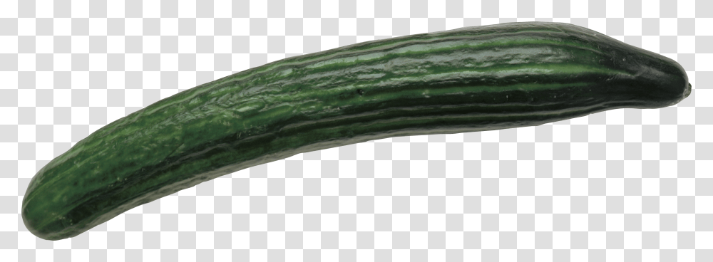 Cucumber, Vegetable, Plant, Food, Produce Transparent Png