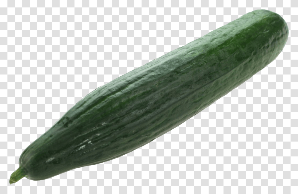 Cucumber, Vegetable, Plant, Food, Produce Transparent Png