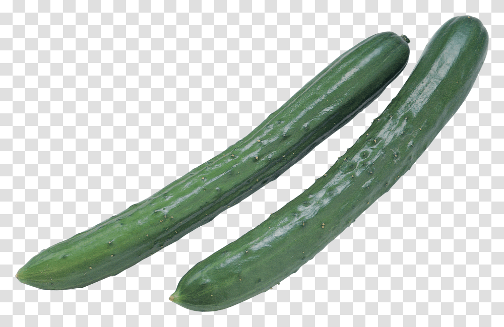 Cucumber, Vegetable, Plant, Food, Produce Transparent Png