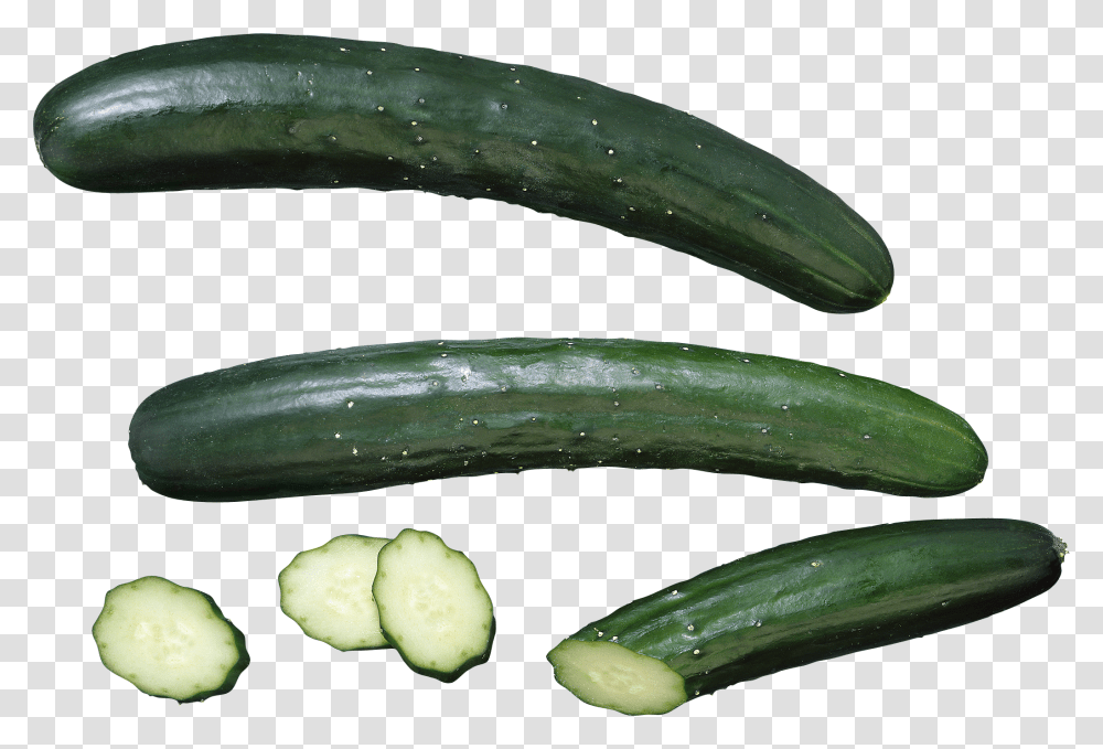 Cucumber, Vegetable, Plant, Food, Produce Transparent Png