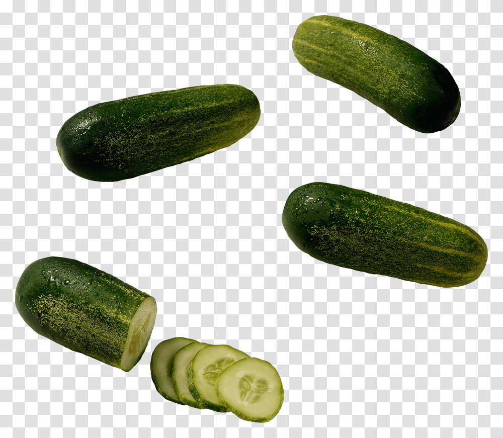 Cucumber, Vegetable, Plant, Food, Produce Transparent Png