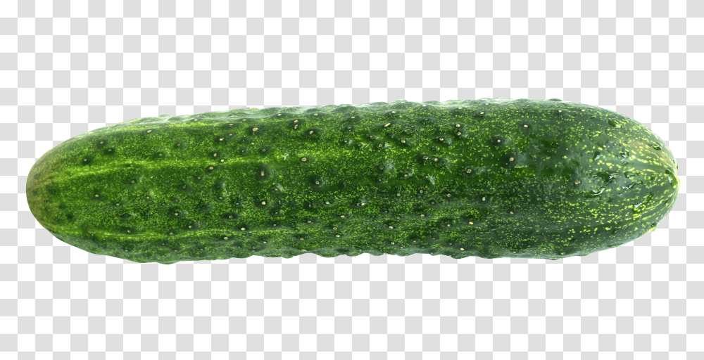 Cucumber, Vegetable, Plant, Food, Rug Transparent Png