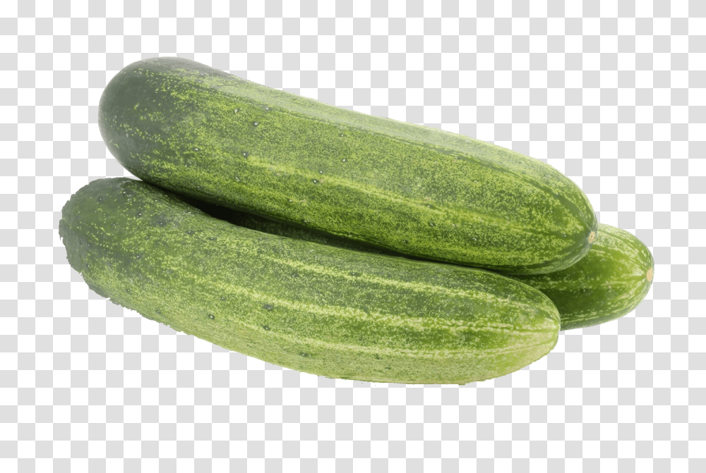 Cucumber, Vegetable, Plant, Food, Snake Transparent Png