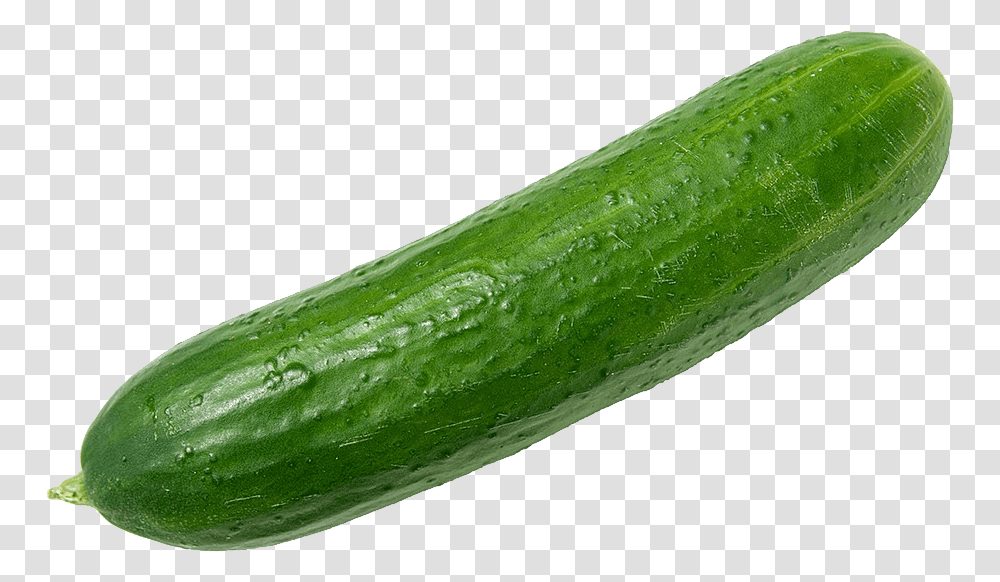 Cucumber, Vegetable, Plant, Food Transparent Png