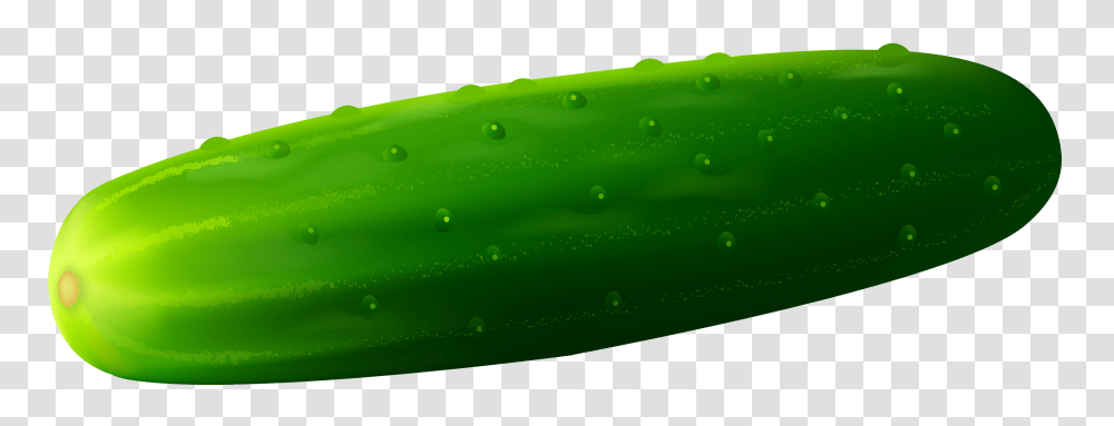 Cucumber, Vegetable, Plant, Food Transparent Png