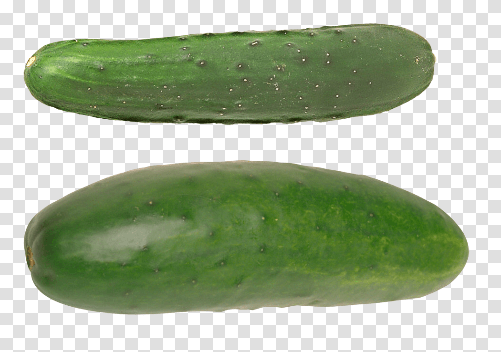 Cucumber, Vegetable, Plant, Food Transparent Png