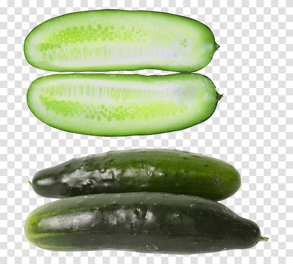 Cucumber, Vegetable, Plant, Food Transparent Png