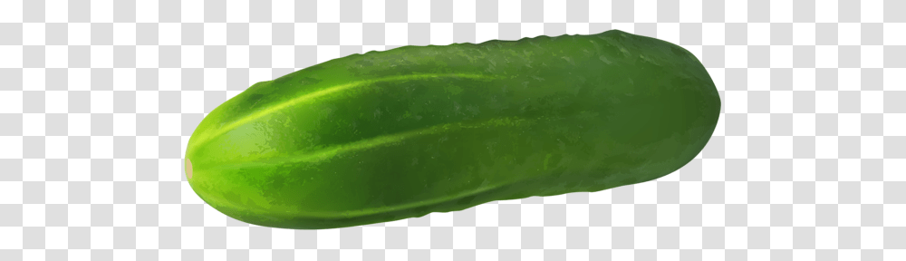 Cucumber, Vegetable, Plant, Food Transparent Png